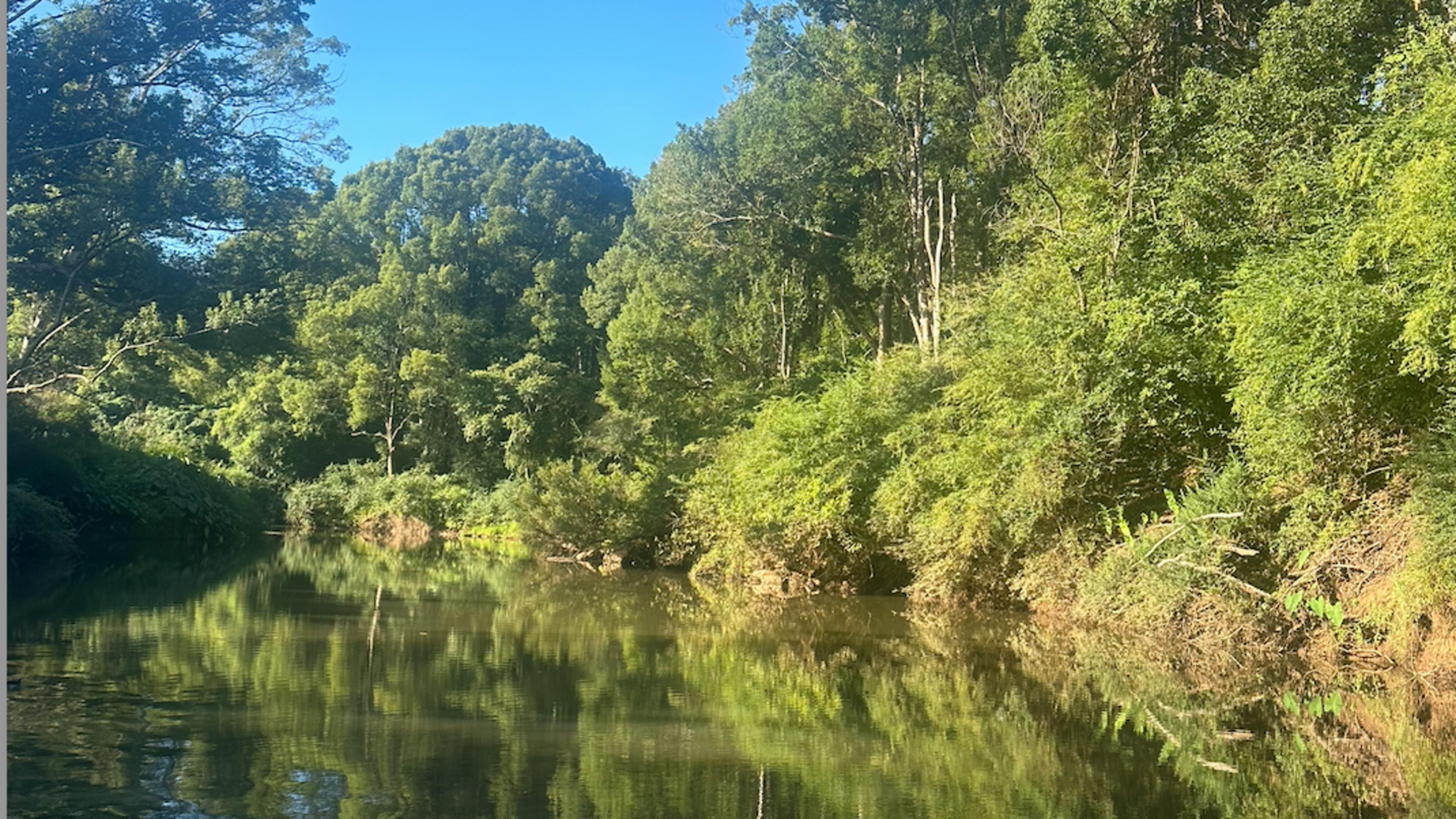 Wilson River Retreat