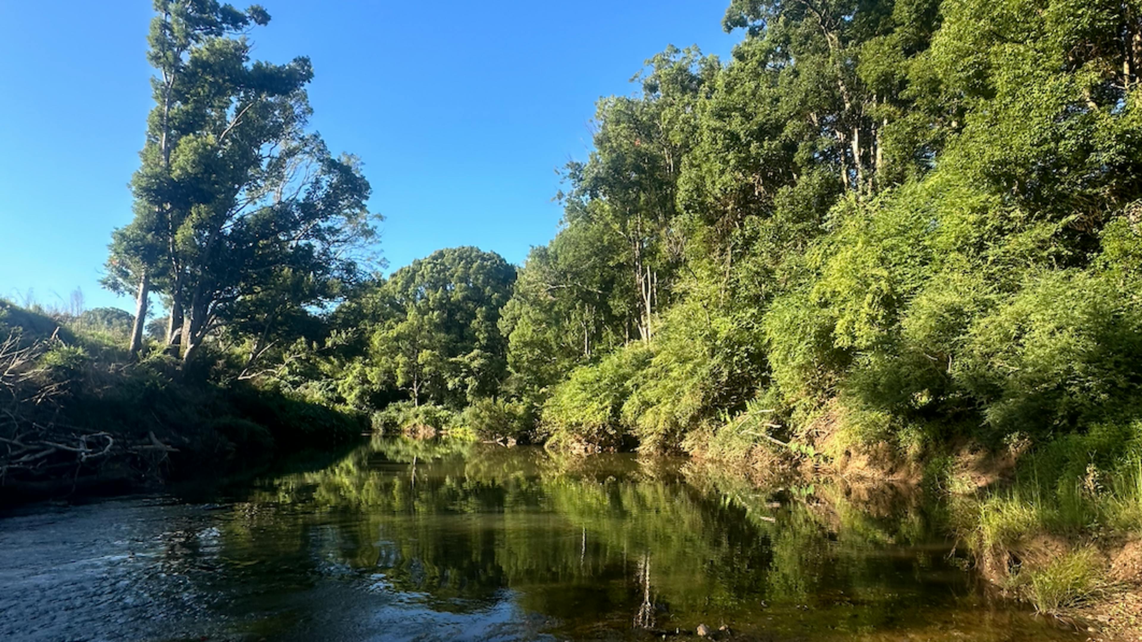 Wilson River Retreat