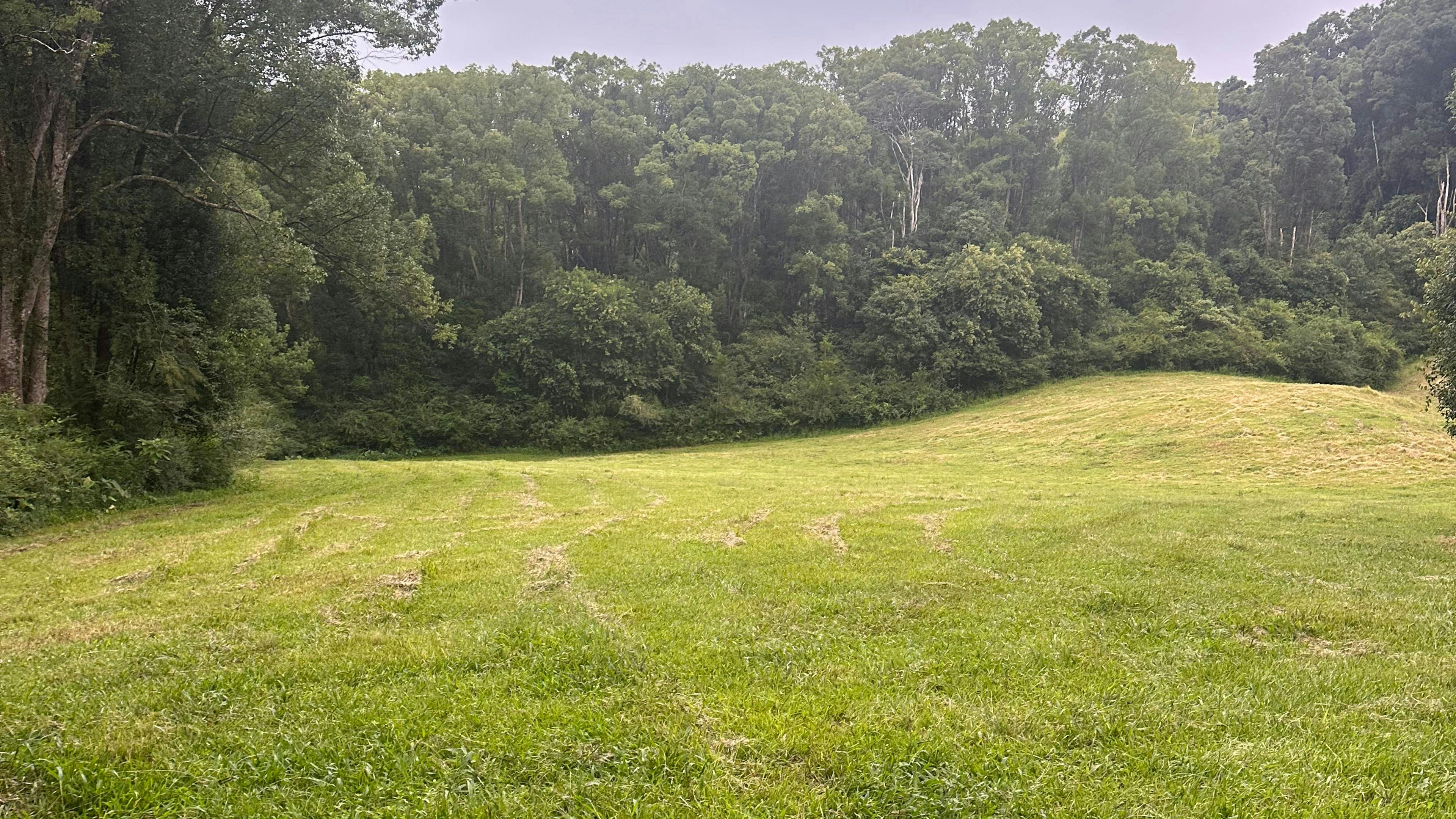 Wilson River Retreat