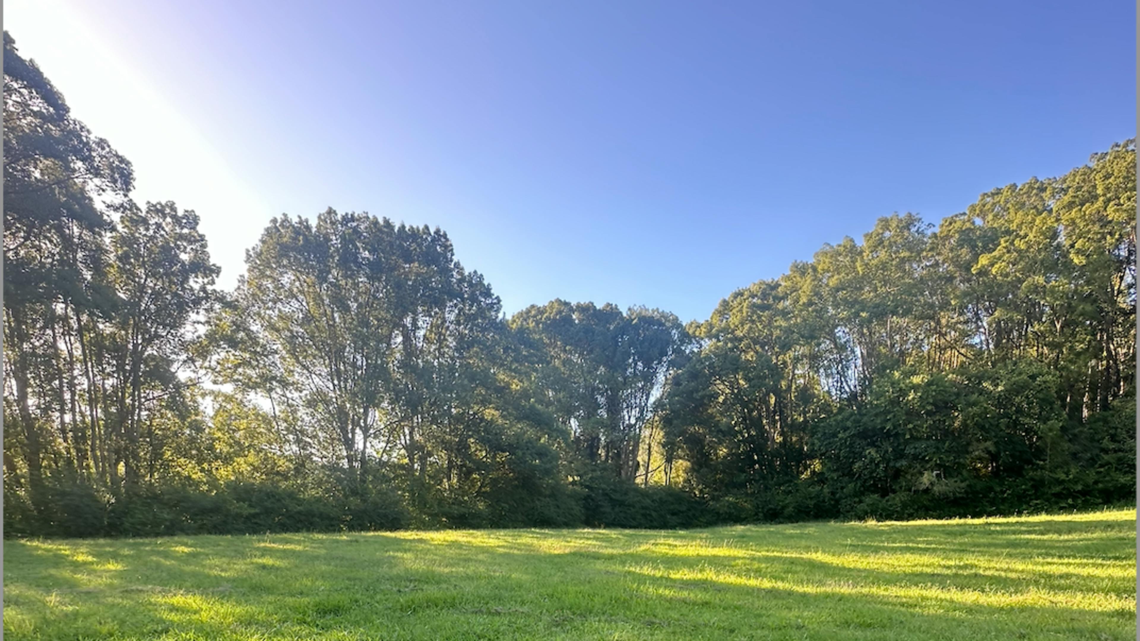 Wilson River Retreat