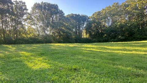 Wilson River Retreat