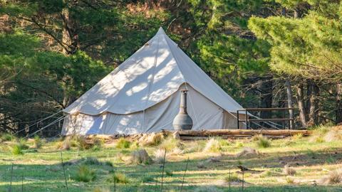 Wombat Pines - Glamping and Camping