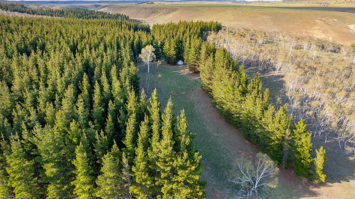 Wombat Pines - Glamping and Camping