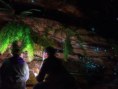 Wollemi Ridge Retreats