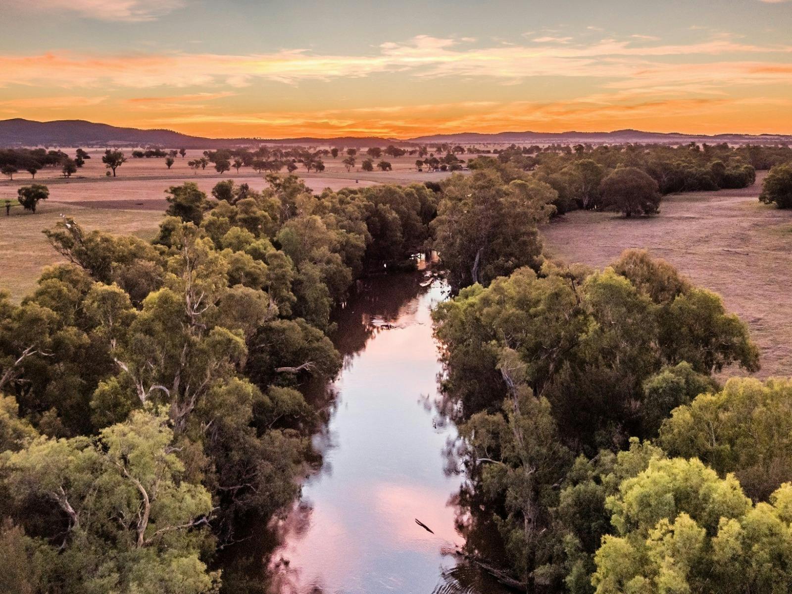 Bila Galari Lachlan River Precinct