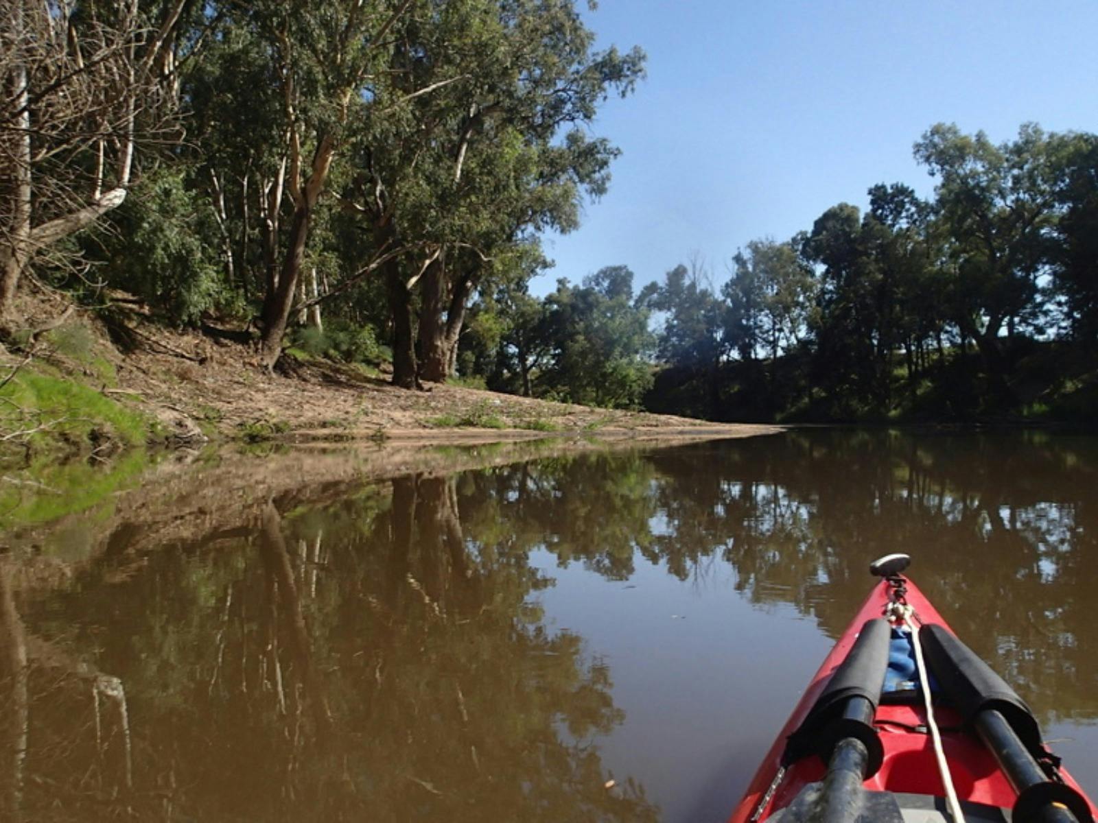 Bila Galari Lachlan River Precinct