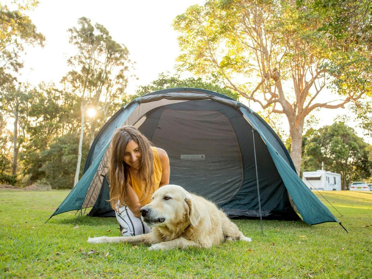 Pet Friendly