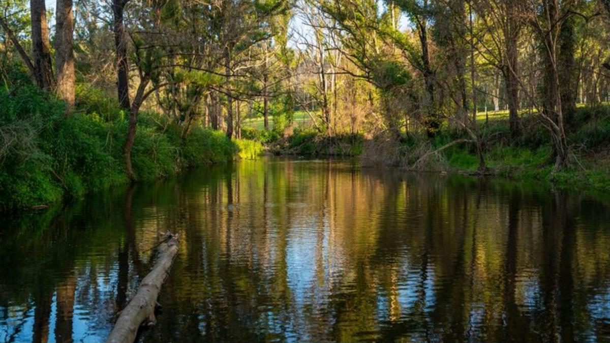 Wombat Hollow