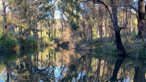 Wombat Hollow