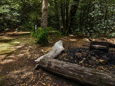 Wombat Creek campground