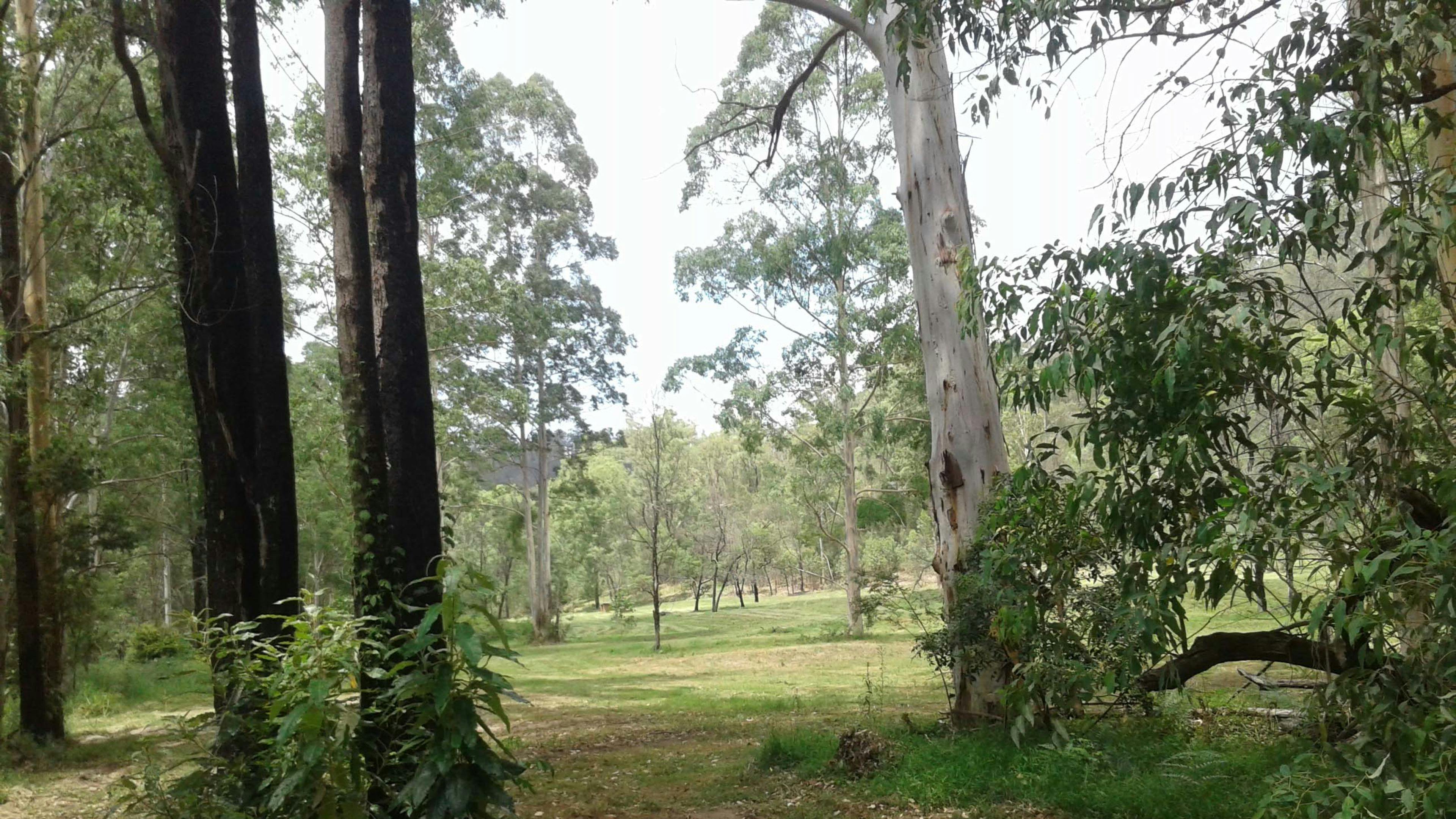 Wollombi Private Earthways camp