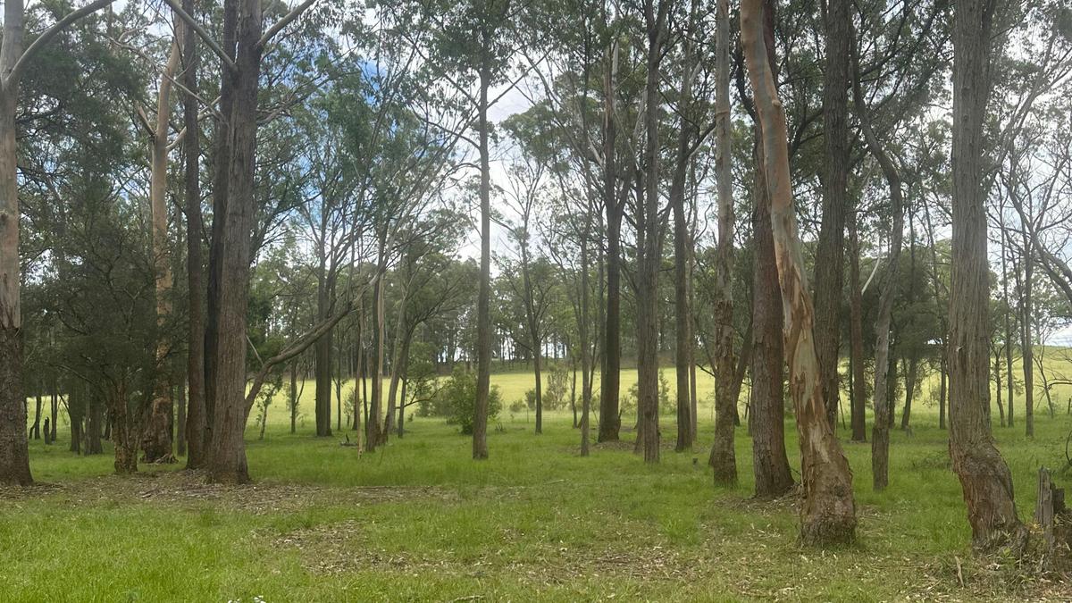 Funny Farm Cooranbong
