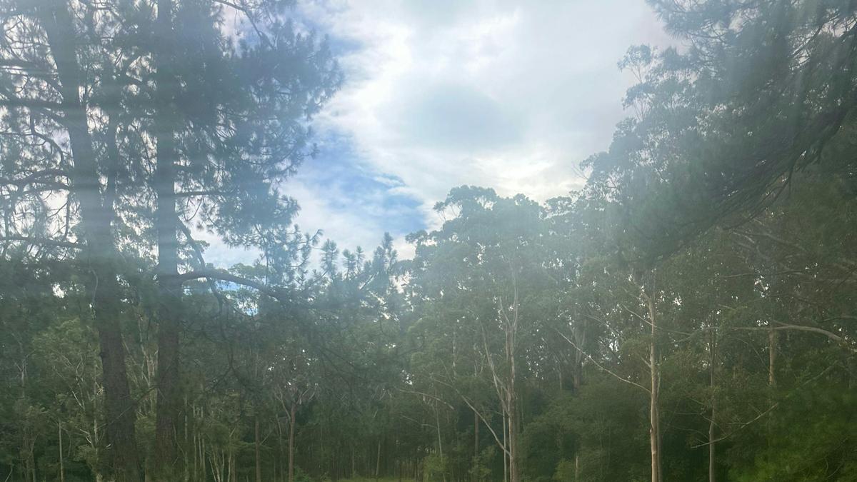 Funny Farm Cooranbong