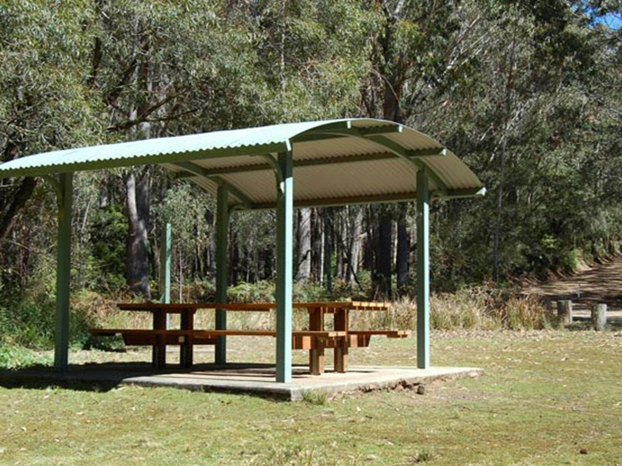 Youngville campground, Mount Royal National Park. Photo: Susan Davis/DPIE