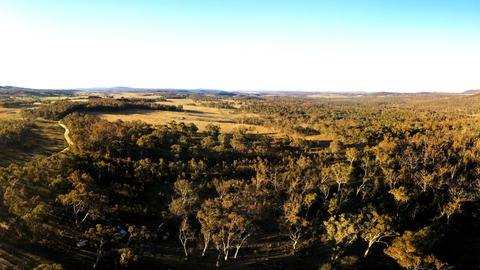 Wombat Flats