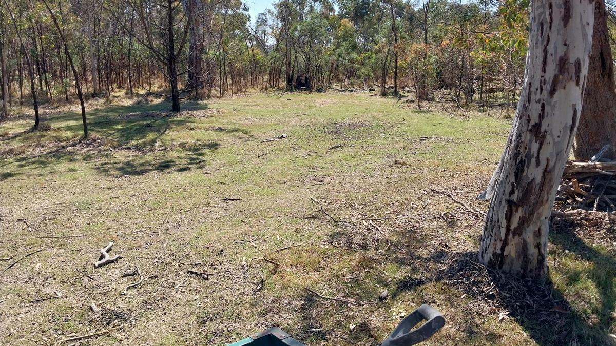 Wombat Flats