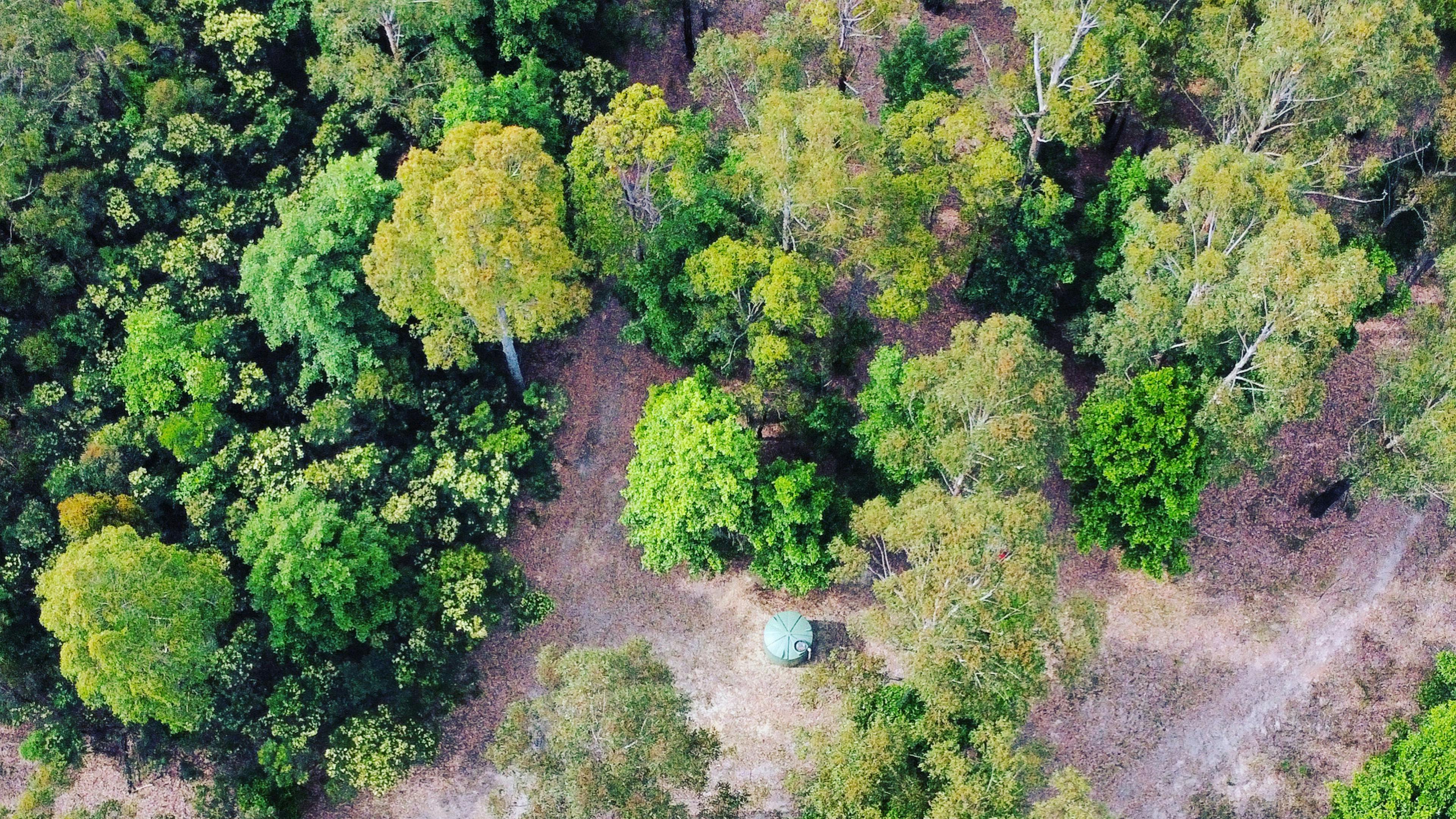 Woodenhead Experiences