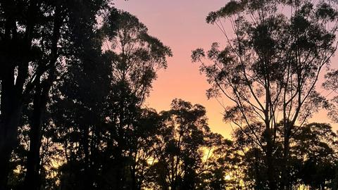 Woodenhead Experiences