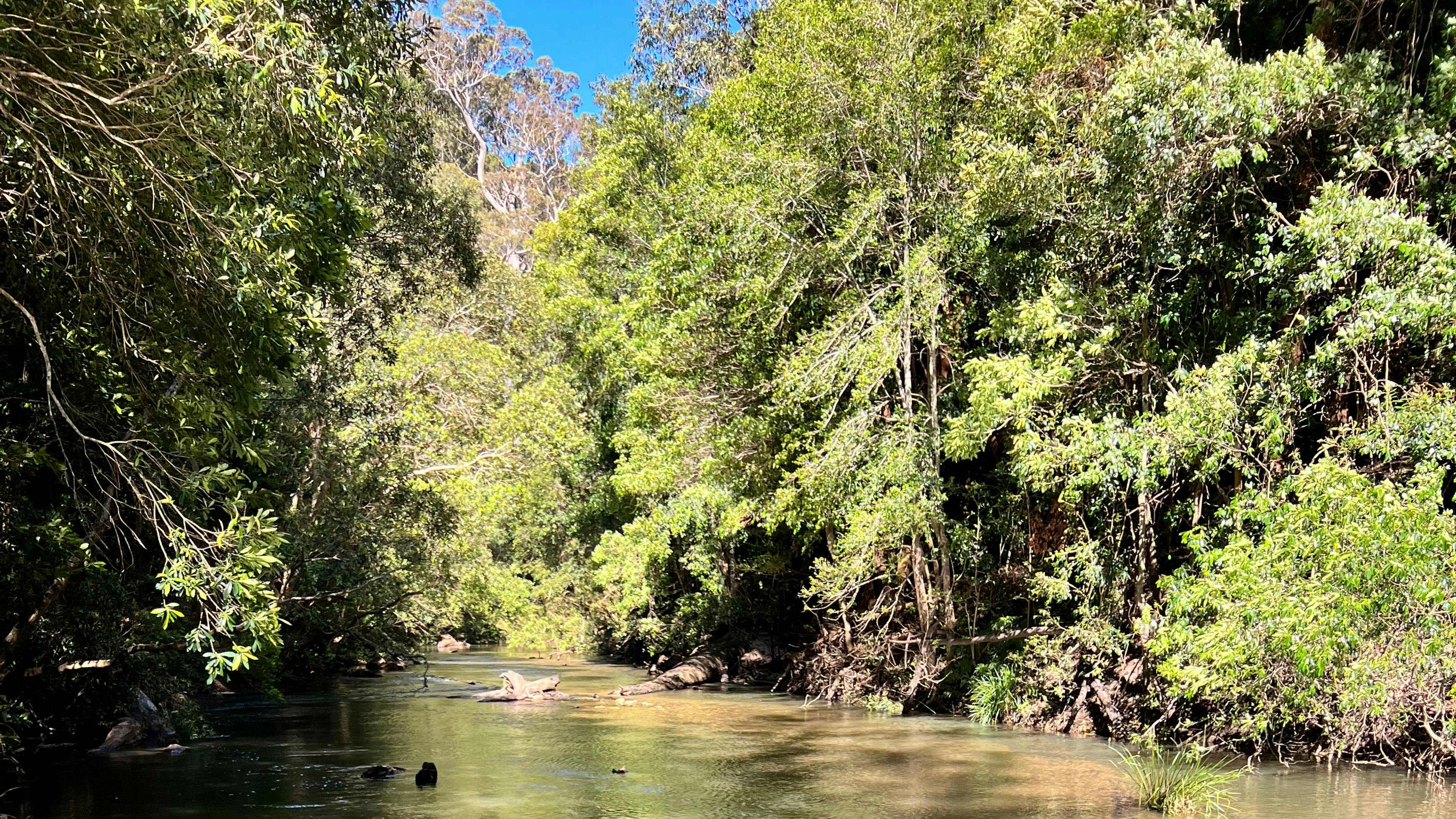 Woodenhead Experiences