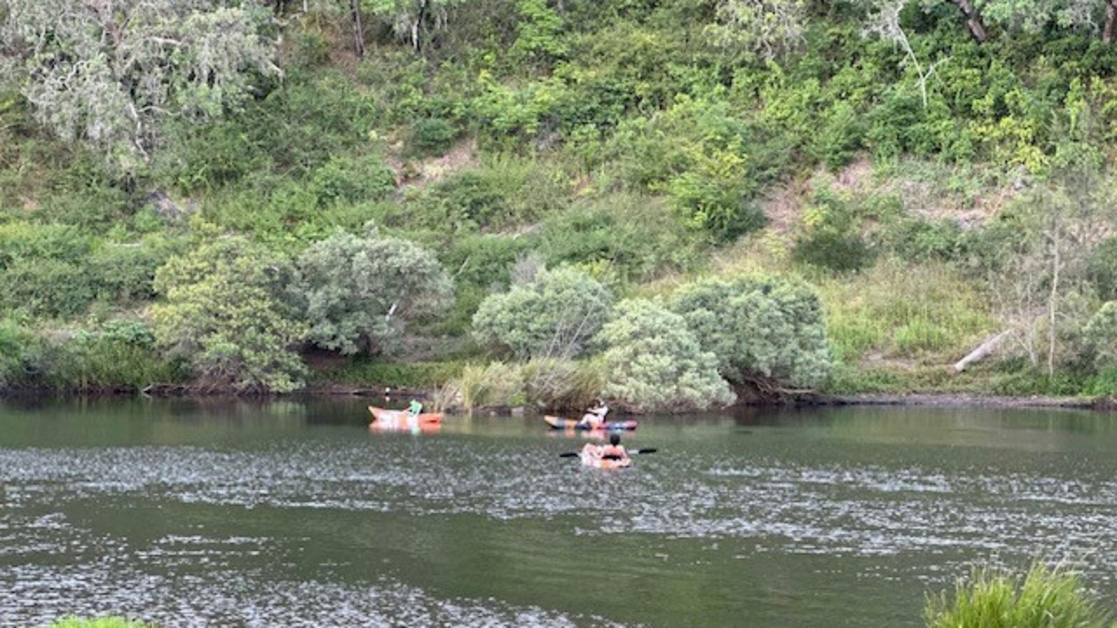 Yeoman Cottage on Nymboida River