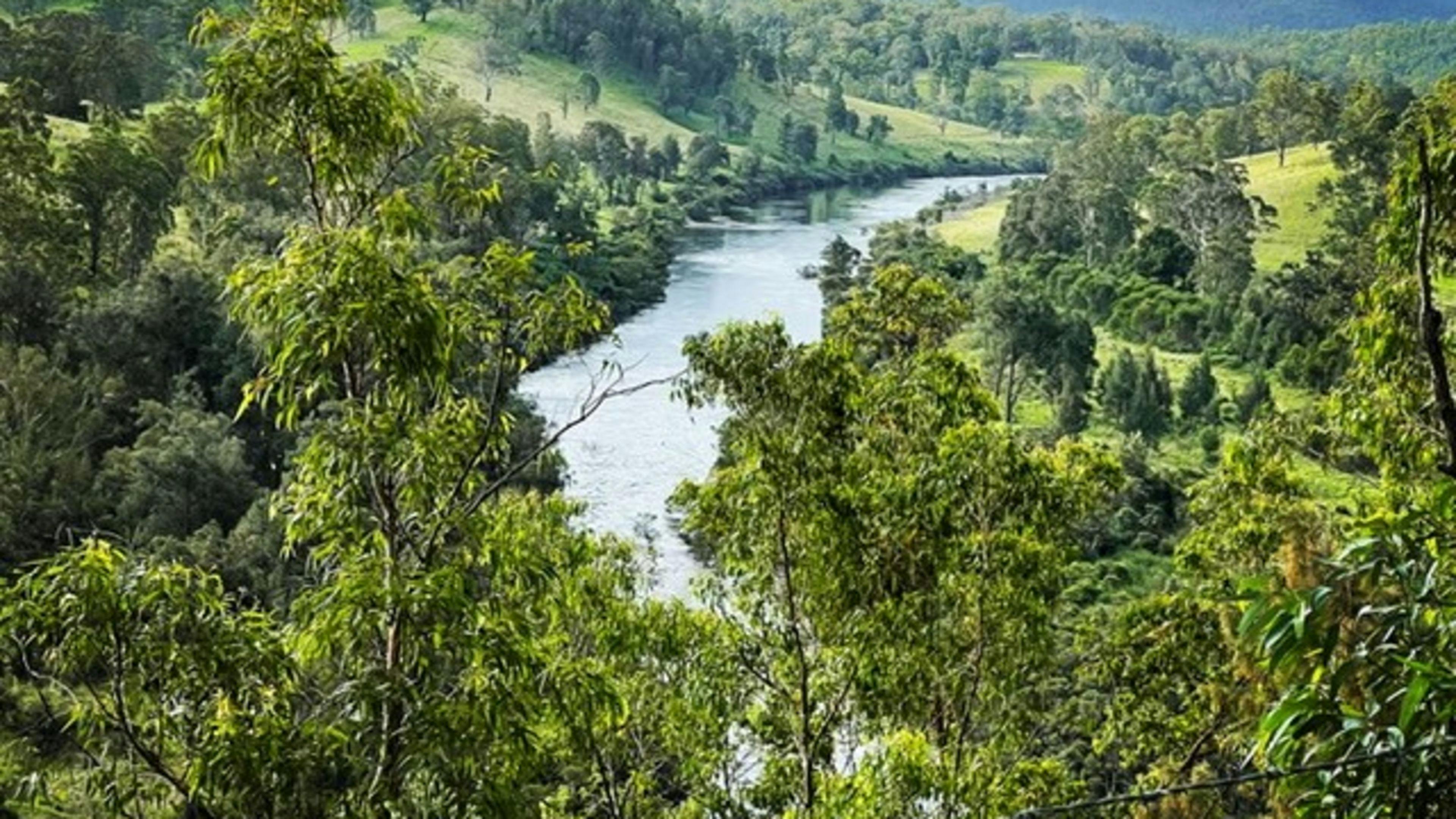 Yeoman Cottage on Nymboida River