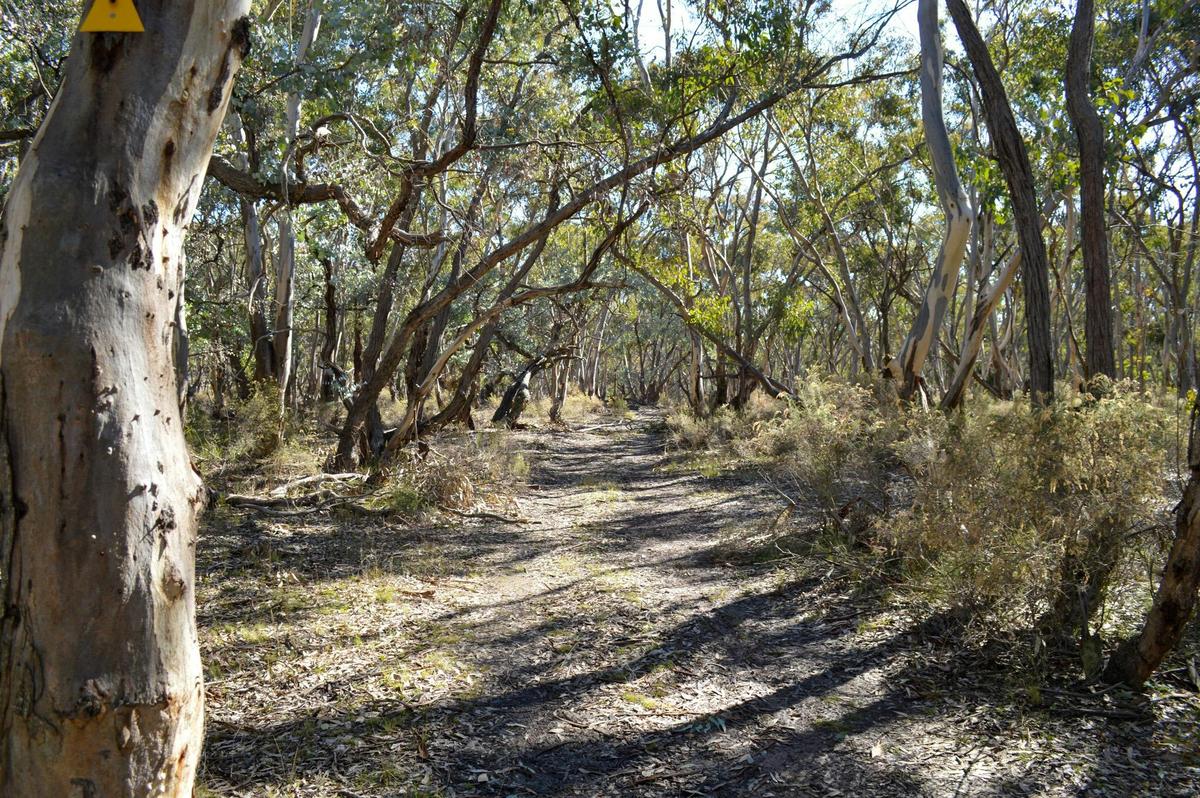 Wattle Flat Heritage Lands
