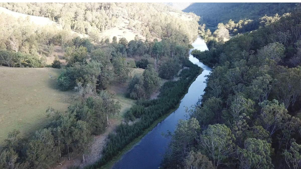 Timbarra Valley