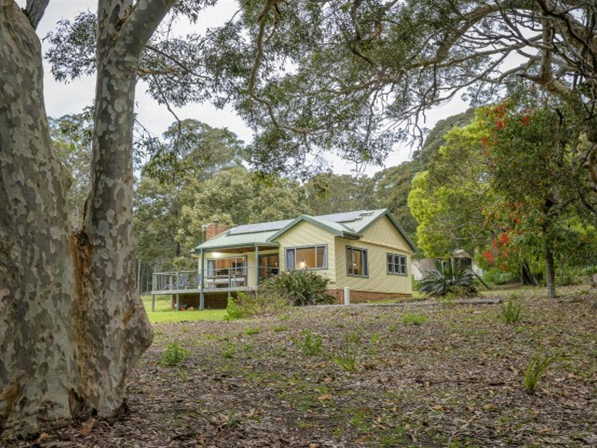 The exterior of Yellow Rock Beach House as seen through the surrounding spotted gums in Murramarang