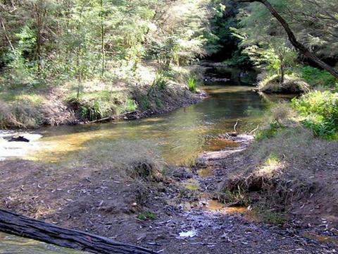 Wheeny Creek campground