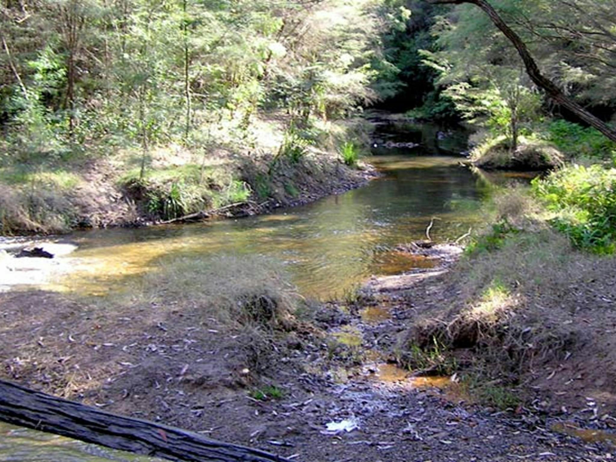 Wheeny Creek campground, Wollemi National Park. Photo: OEH