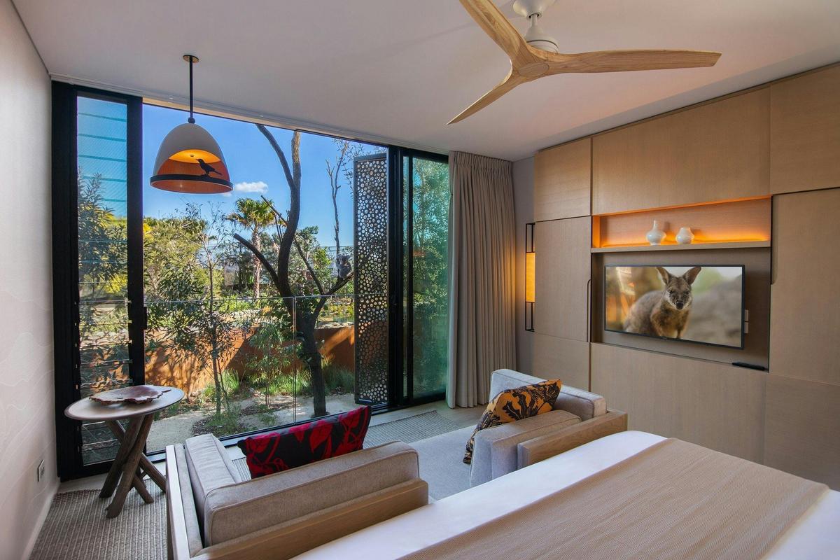 Animal View Room