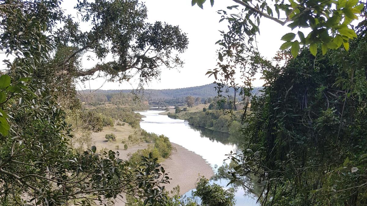 View as you are walking to the "Fig tree"