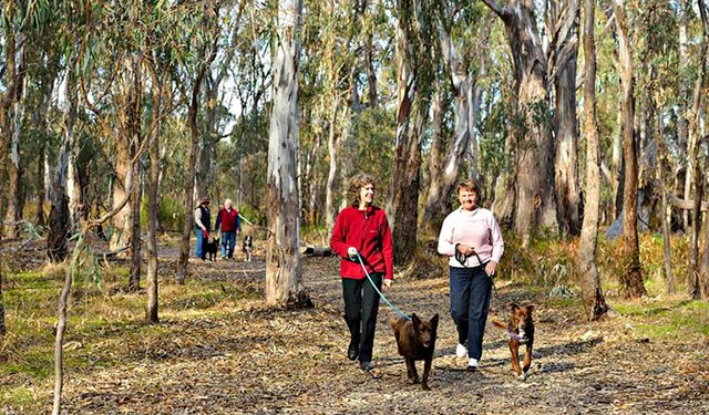 Gulpa Creek Walk