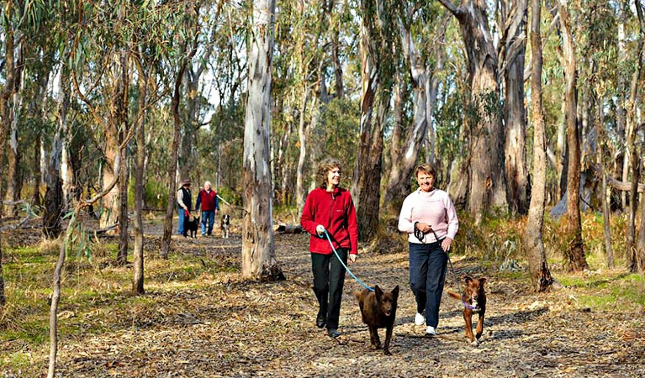 Gulpa Creek walk, Murray Valley National Park. Photo: Gavin Hansford