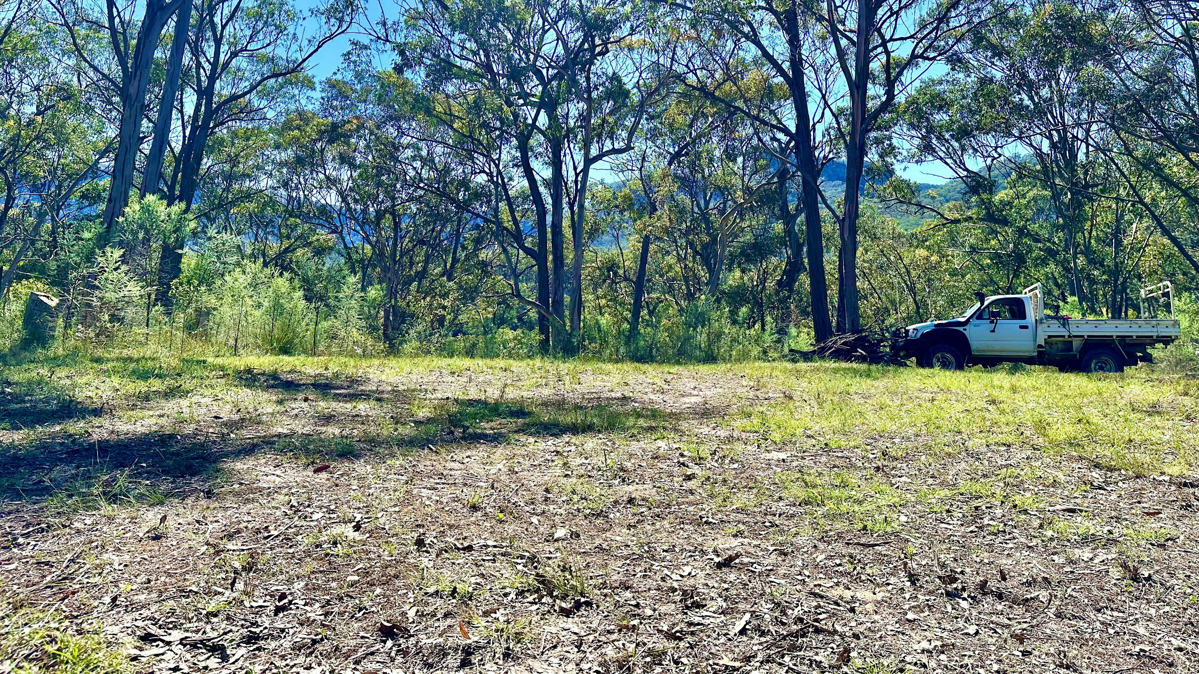 Wildwoods - Private bush surrounds