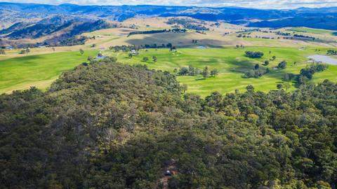Wildwoods - Private bush surrounds
