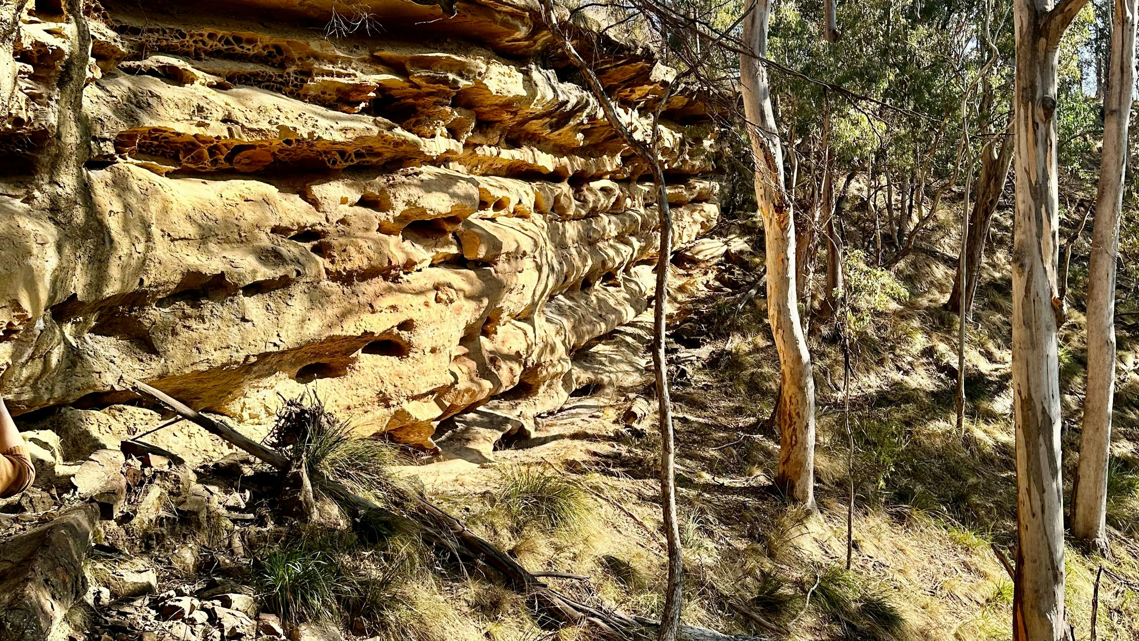 Guided walks around the property are available upon request to see some unique sites. 