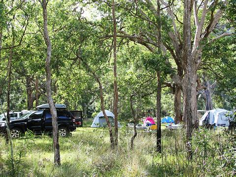 Youdales Hut campground and picnic area