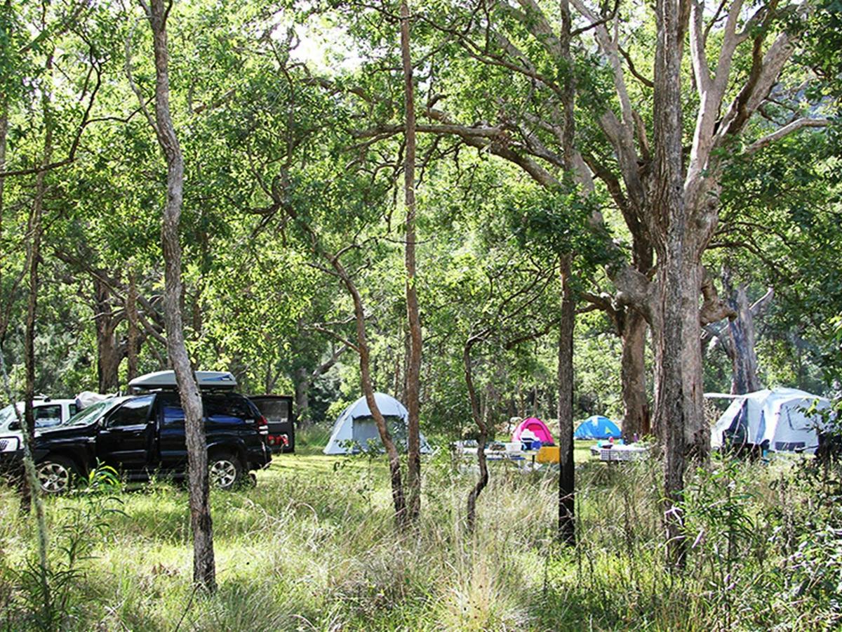 Enjoy shaded campsites in a truly remote, bush setting at Youdales campground. Credit: Natasha Webb