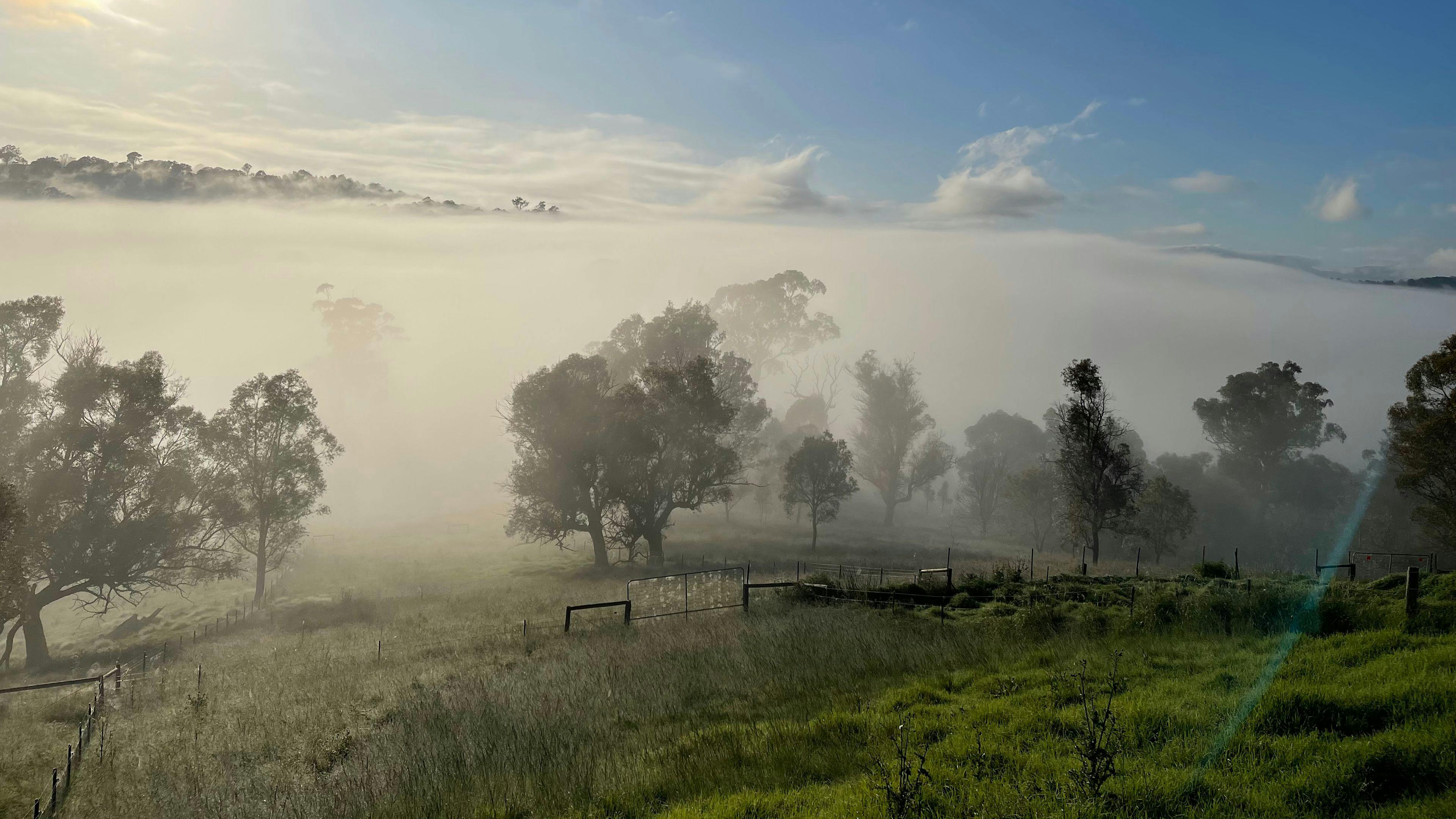Waking up to a nice and foggy morning 