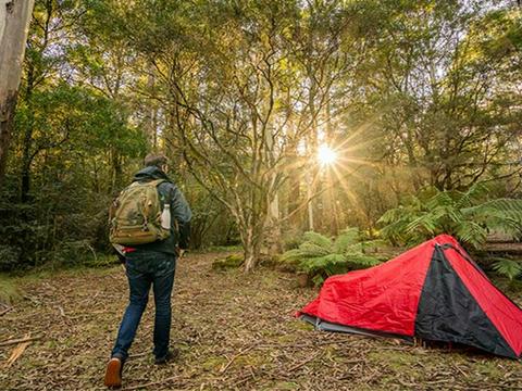 Thungutti campground