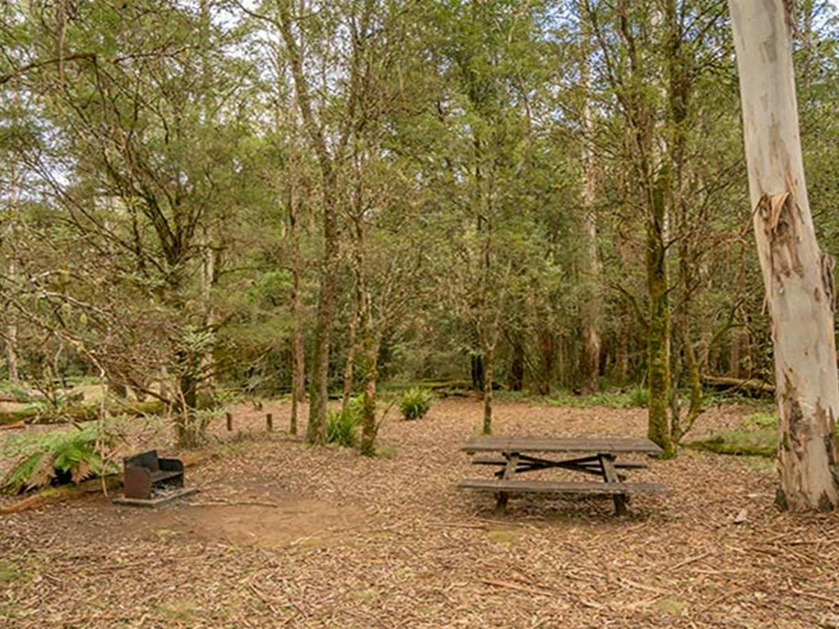 Thungutti campground in New England National Park. Photo: John Spencer/OEH