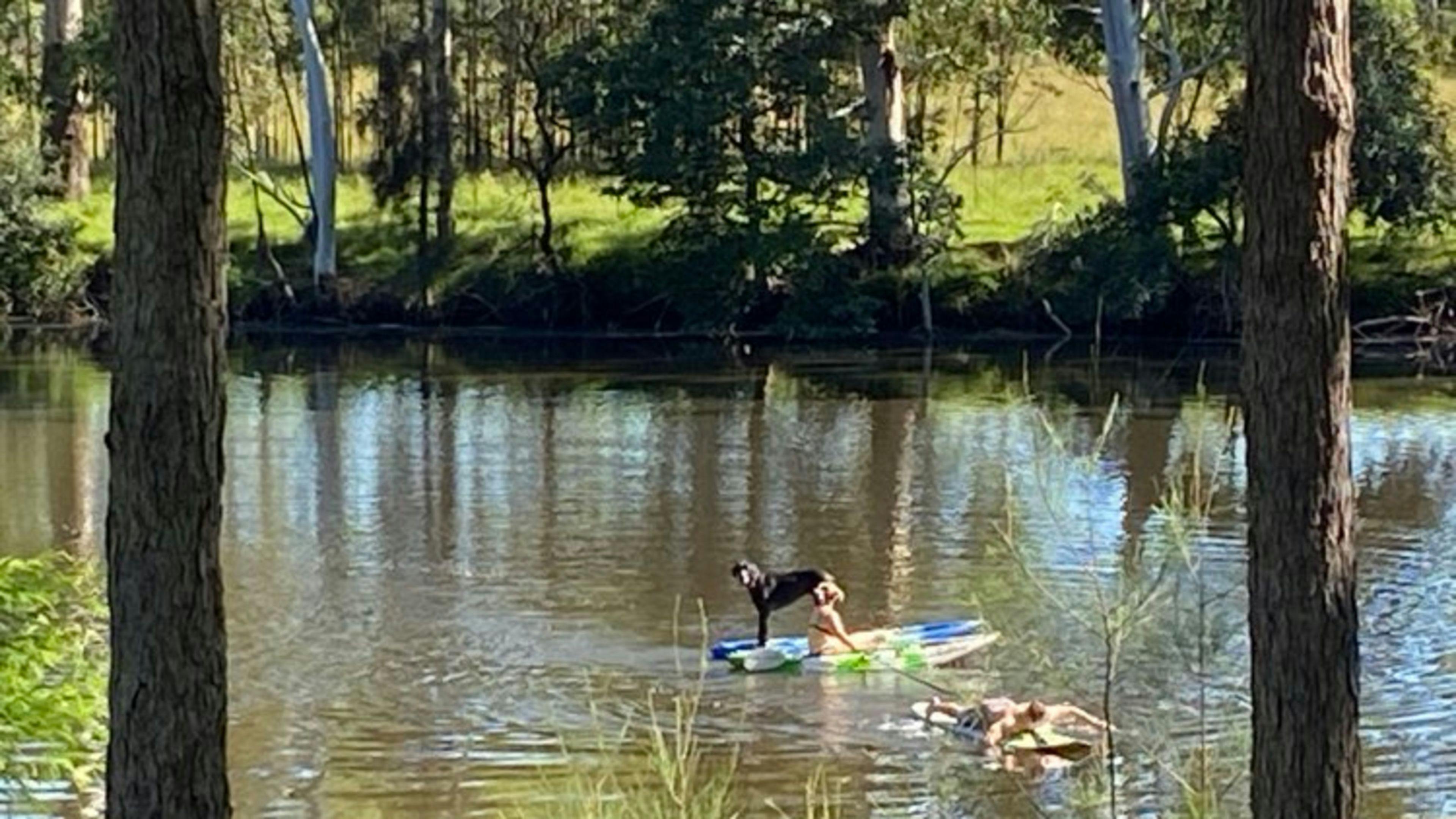 Tranquil Riverdance Nabiac