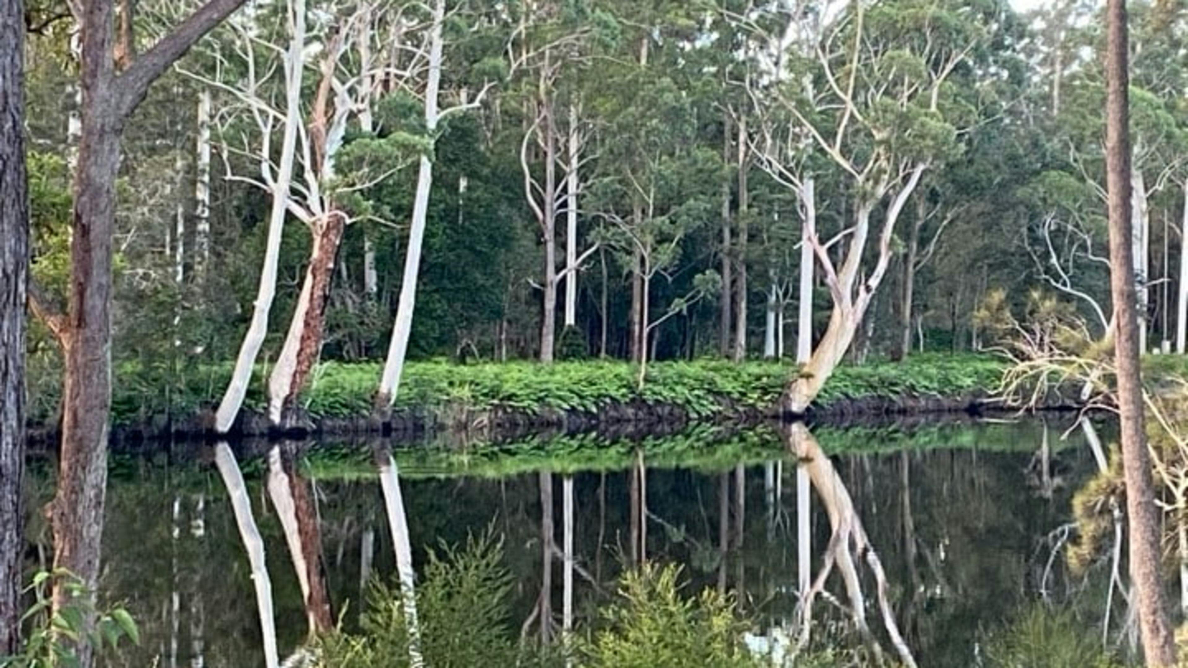 Tranquil Riverdance Nabiac