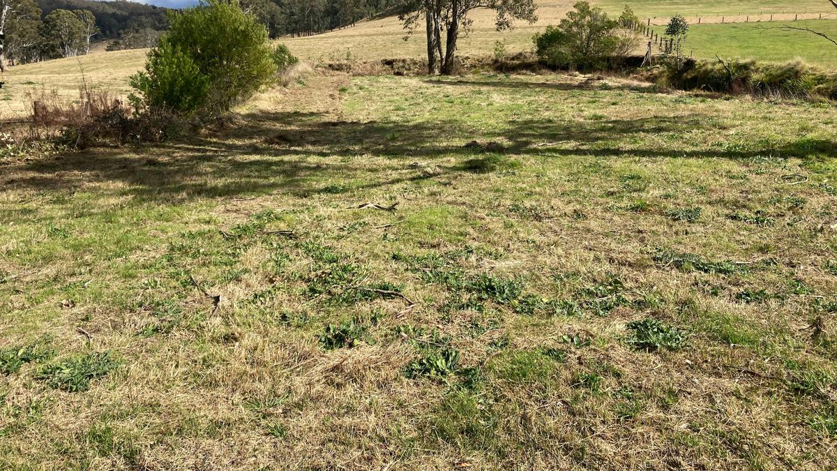 Wollombi flats camping