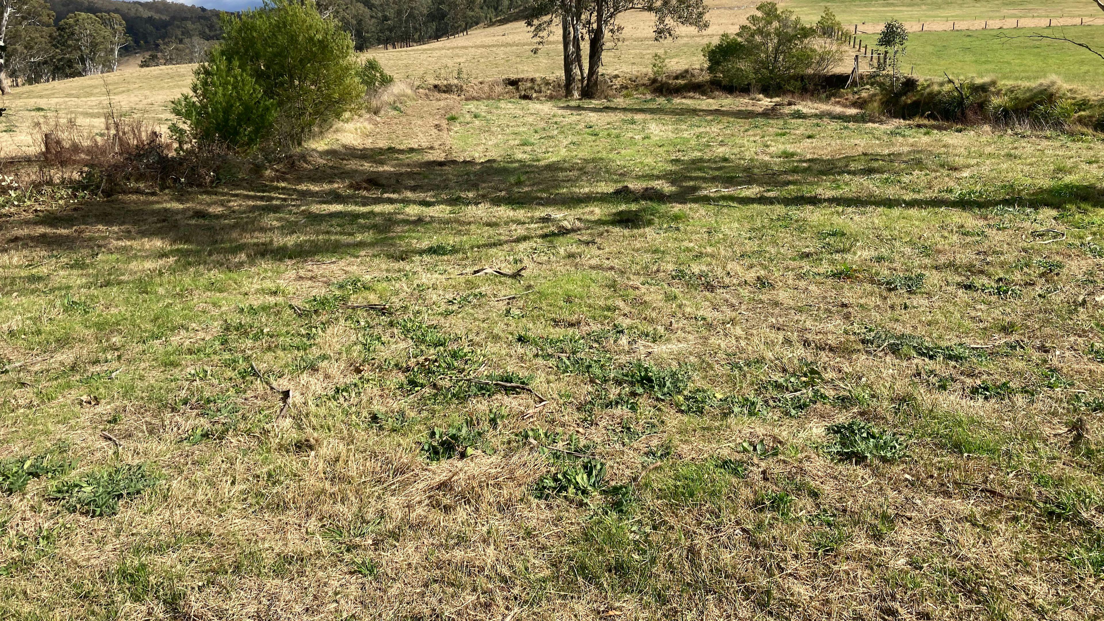 Wollombi flats camping