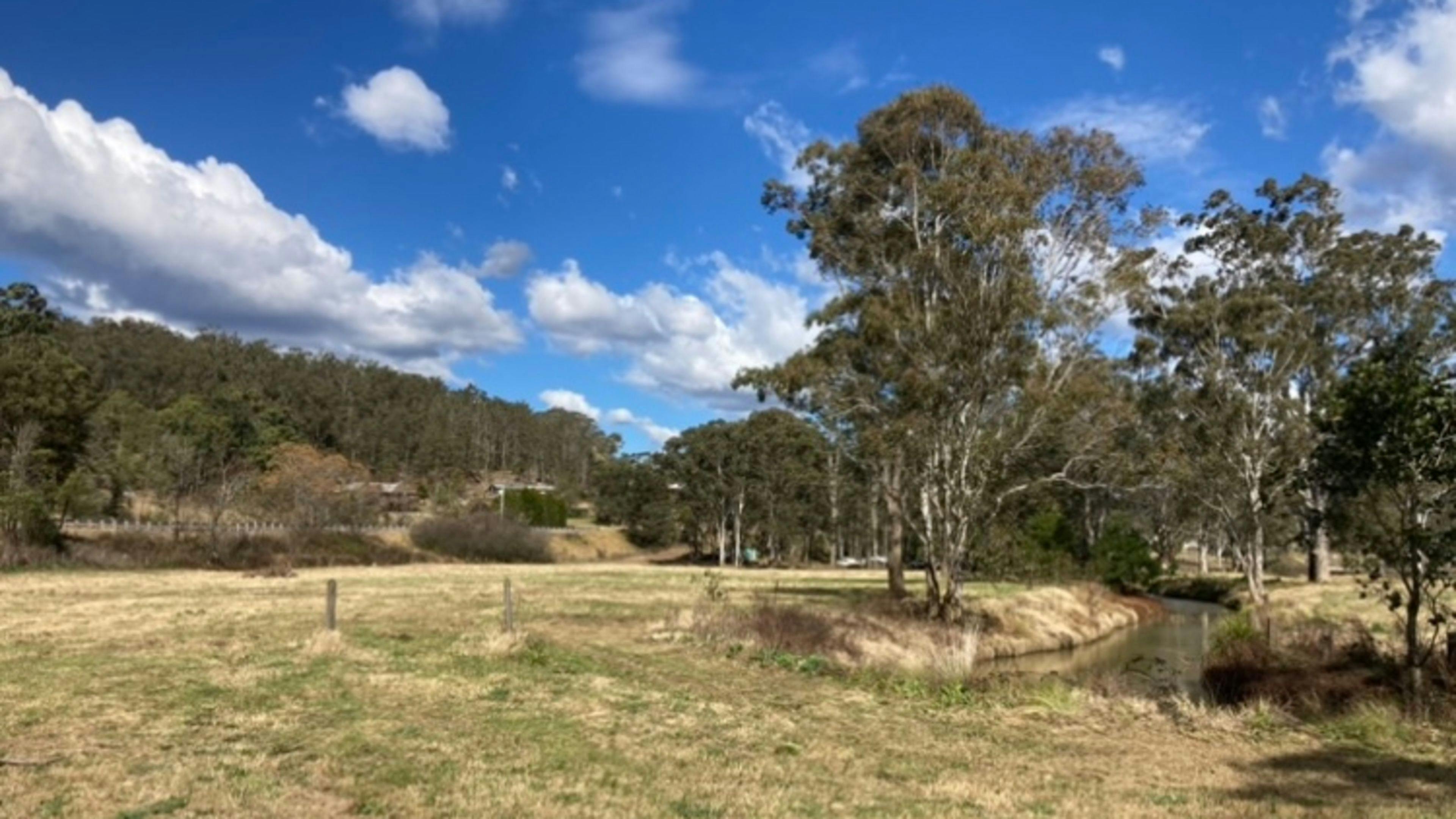 Wollombi flats camping