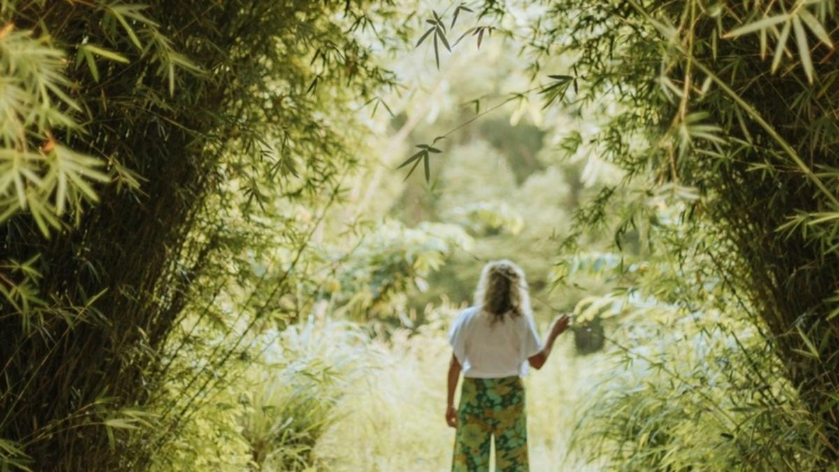 Wandering through bamboo gardens 