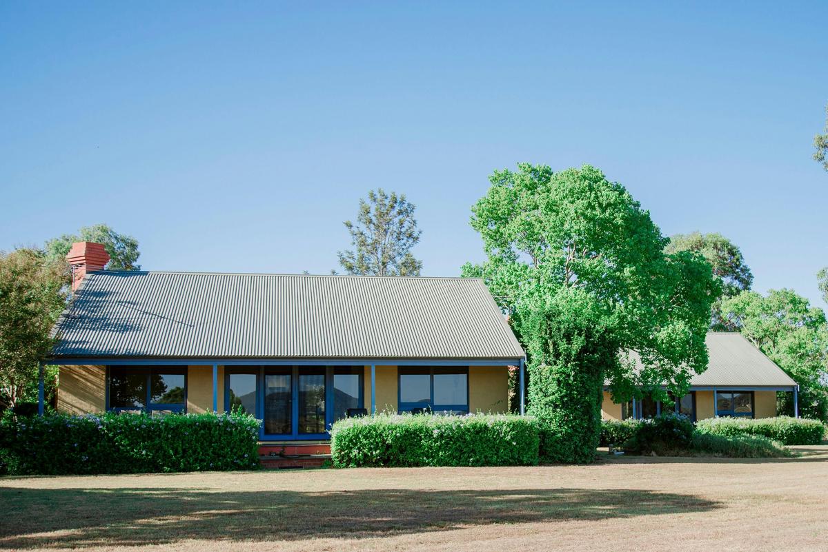 Tranquil Vale Vineyard