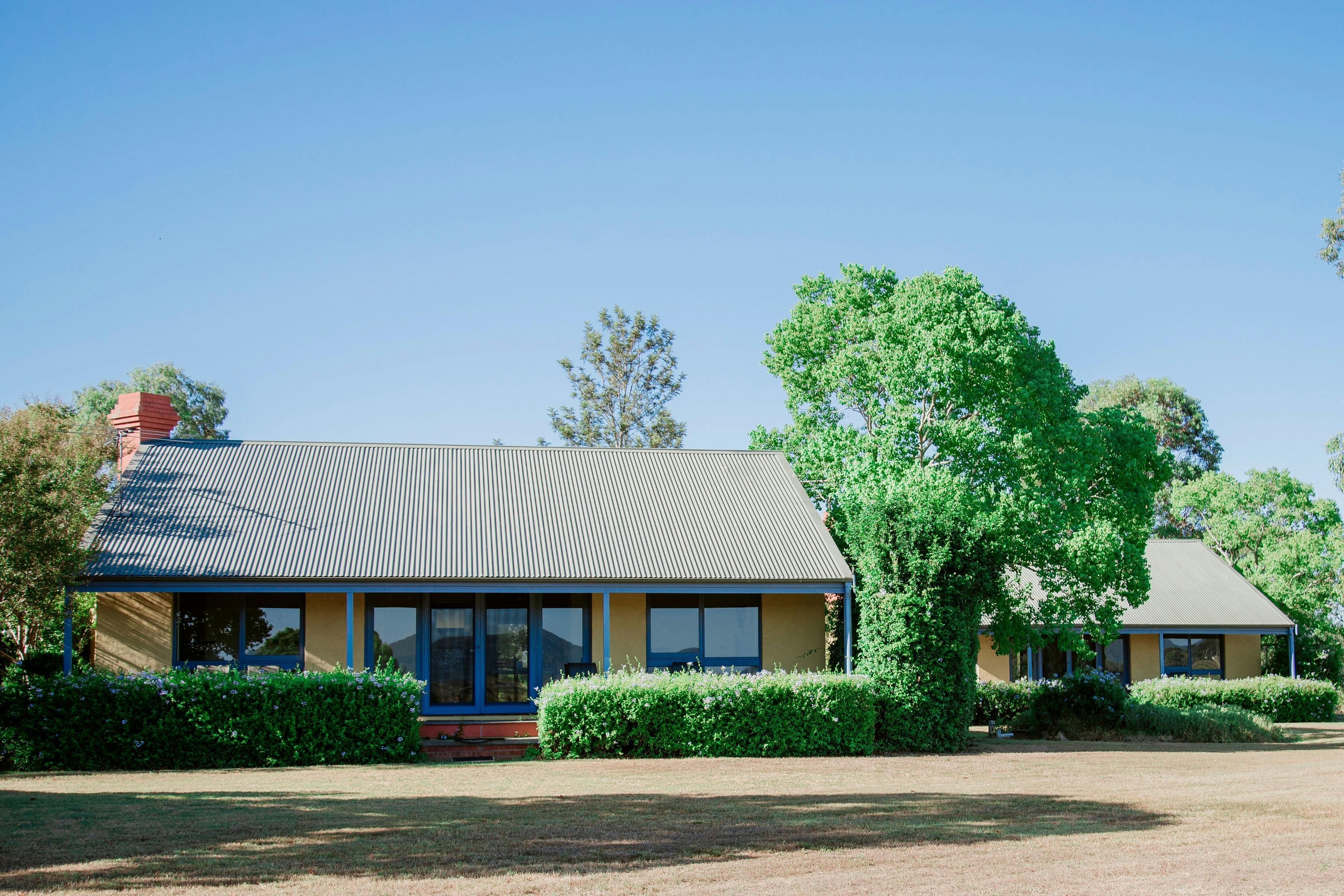 Tranquil Vale Vineyard